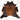 Koeienvel Leer Cognac 3-4M² | Vloerkleed | RichtjeHuisin