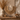 Schelpenketting - Op Standaard - Dora - Schelpen/ Zeegras - Beige - S
