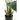 Artificial Banana Tree in Pot - H180 x Ø30 cm - Green - Richtjehuisin.nl