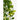 Artificial Ficus Hanging Plant in Pot - H46 x Ø20 cm - Green - Richtjehuisin.nl