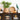 Kunstplant - Chamaedorea - In Pot - Plastiek - Groen/ Zwart - S