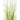 Dogtail Grass Artificial Plant - H53 x Ø30 cm - Green - Richtjehuisin.nl