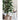 Kunstplant - Ficus - In Pot - Groen - 85x150cm