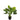 Kunstplant - Pothos - In Pot - Plastiek - Groen