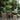 Kunstplant - Pothos - In Pot - Plastiek - Groen